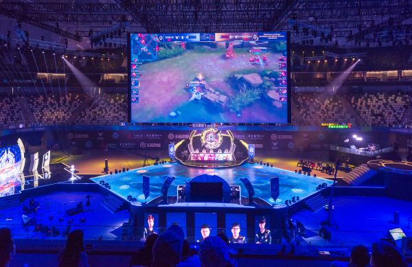 森林狼的胜 森林狼的胜