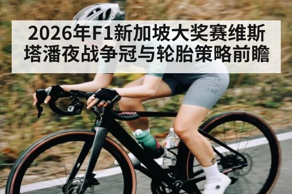 2026年F1新加坡大奖赛维斯塔潘夜战争冠与轮胎策略前瞻