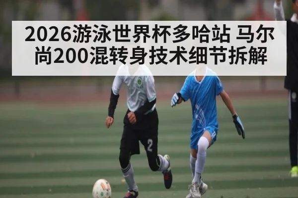 2026游泳世界杯多哈站 马尔尚200混转身技术细节拆解